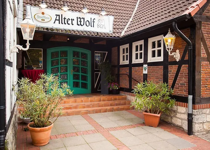 Hotel Alter Wolf